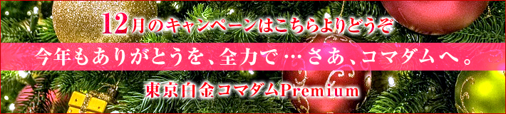 12月のキャンペーン