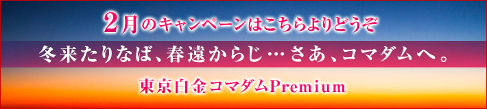 2月のキャンペーン